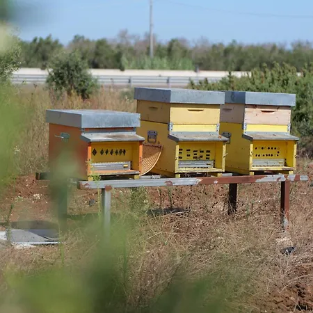 Masseria San Basilio ゲストハウス