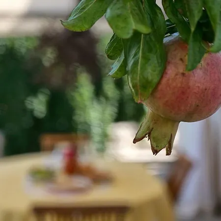 Masseria San Basilio Guest house *