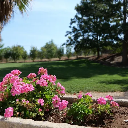 Masseria San Basilio Guest house Giurdignano