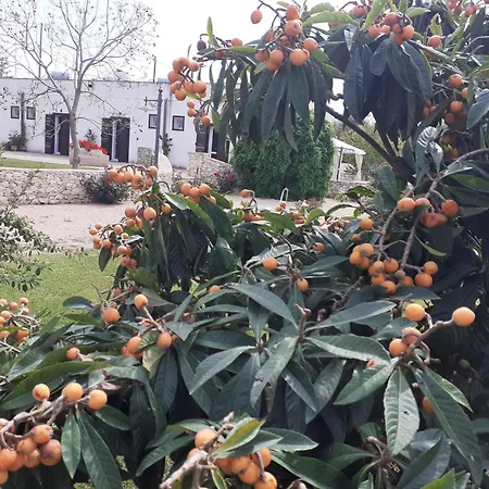 Masseria San Basilio * Giurdignano