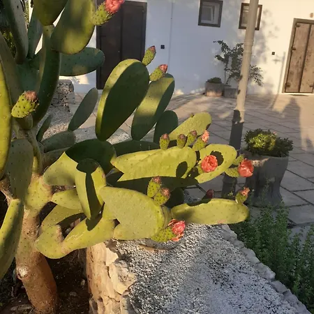 Masseria San Basilio