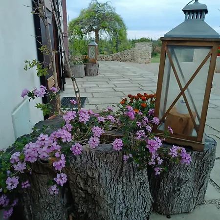 Masseria San Basilio Guest house